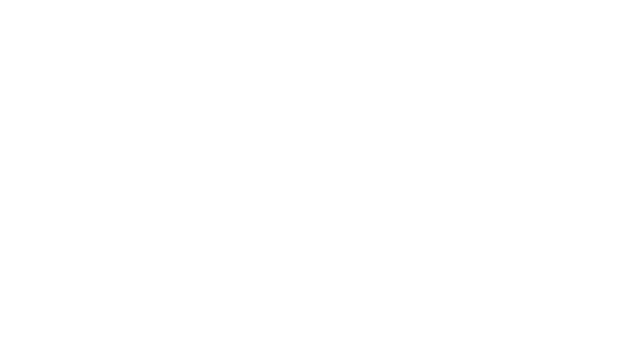Telmo Duarte